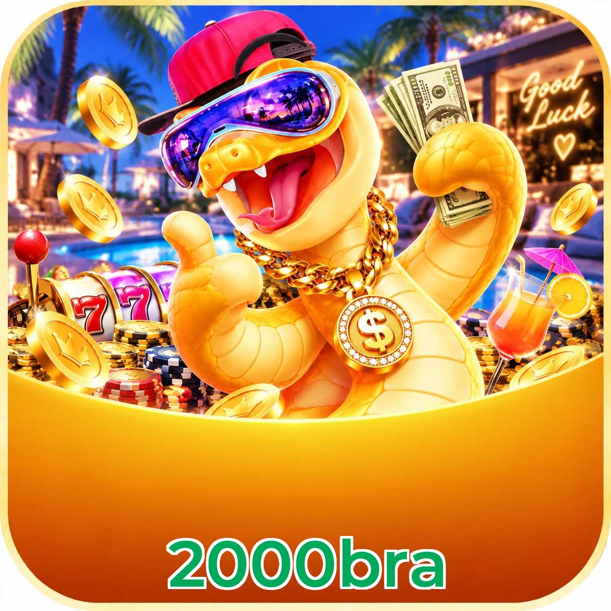 2000bra App FAQ