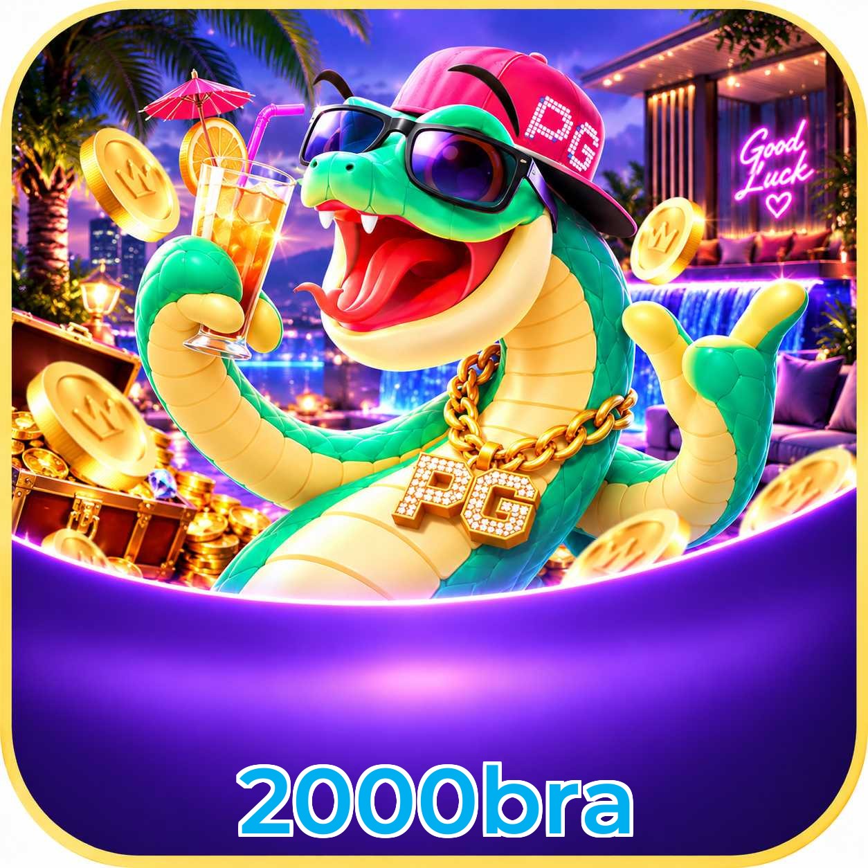 2000bra VIP Program
